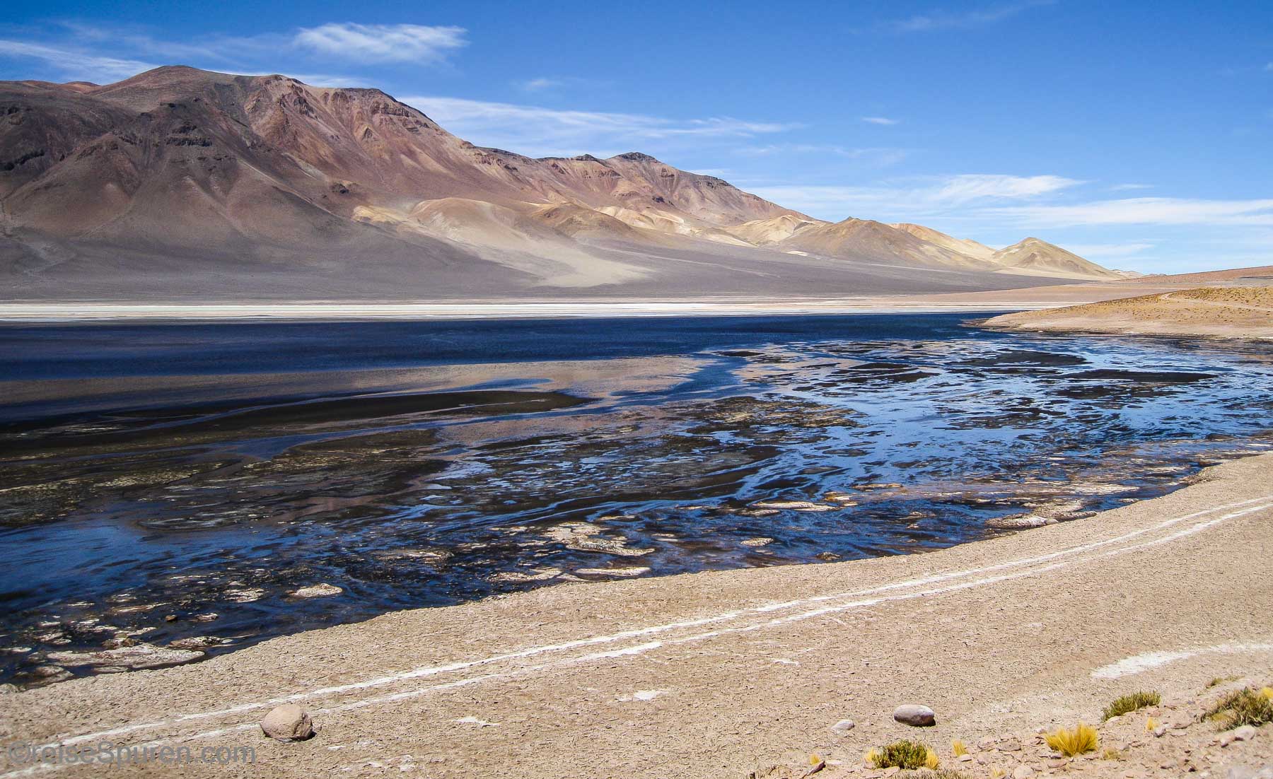Puna de Atacama