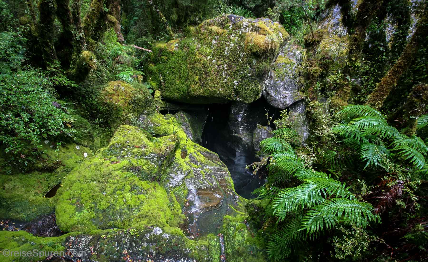 The Chasm - Milford Sound
