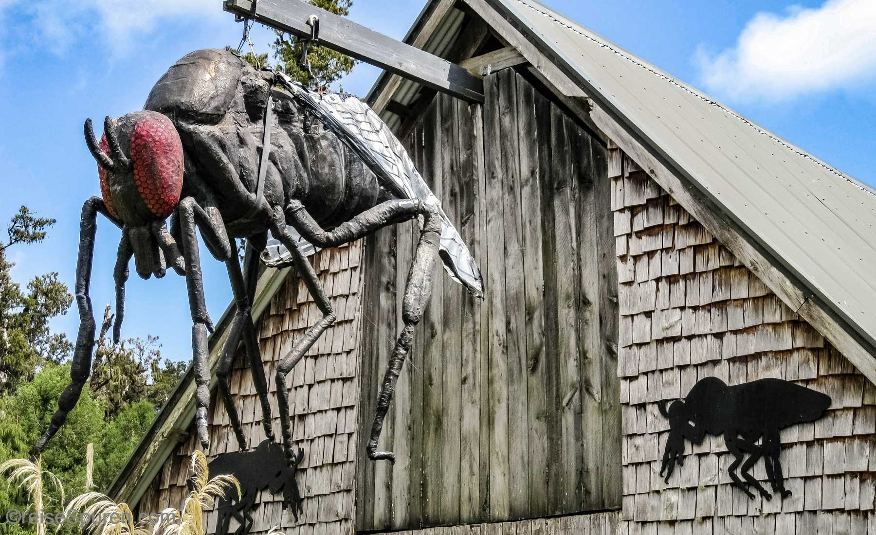 Das gefährlichste Tier Neuseelands - die Sandfliege!